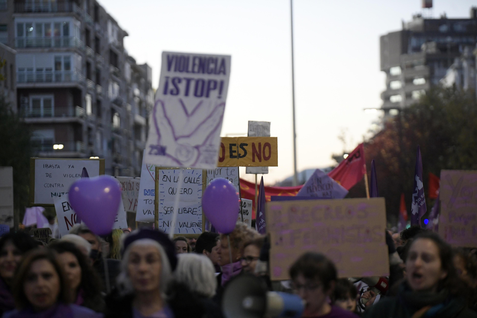 Carteles en una manifestación del 25N.