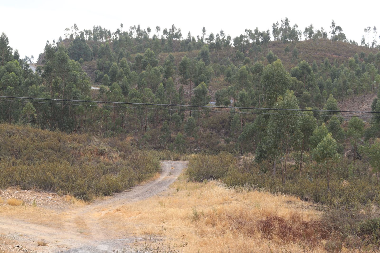 Montes en la provincia de Huelva.