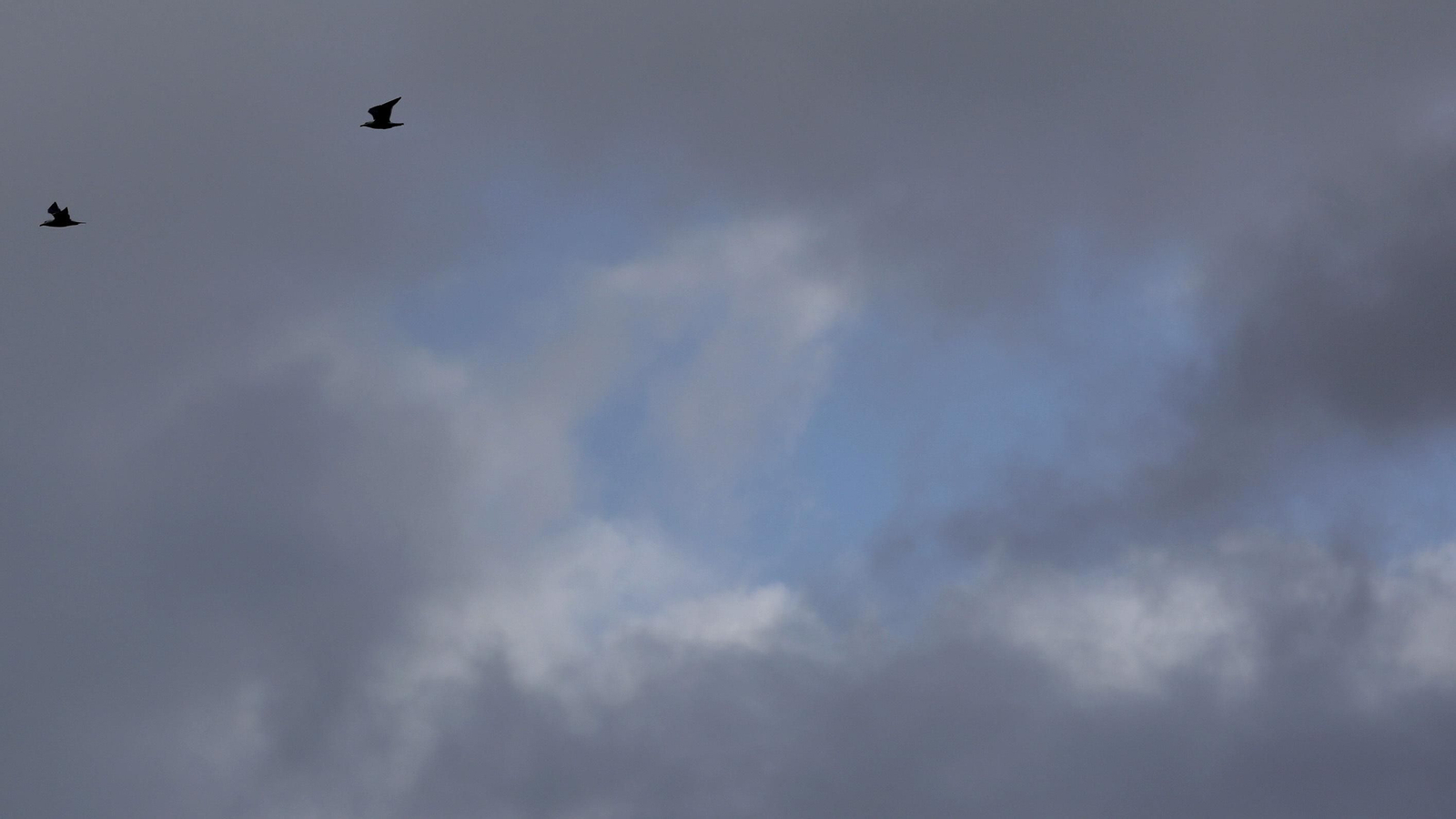 Fotos de la borrasca Nelson en el Campo de Gibraltar