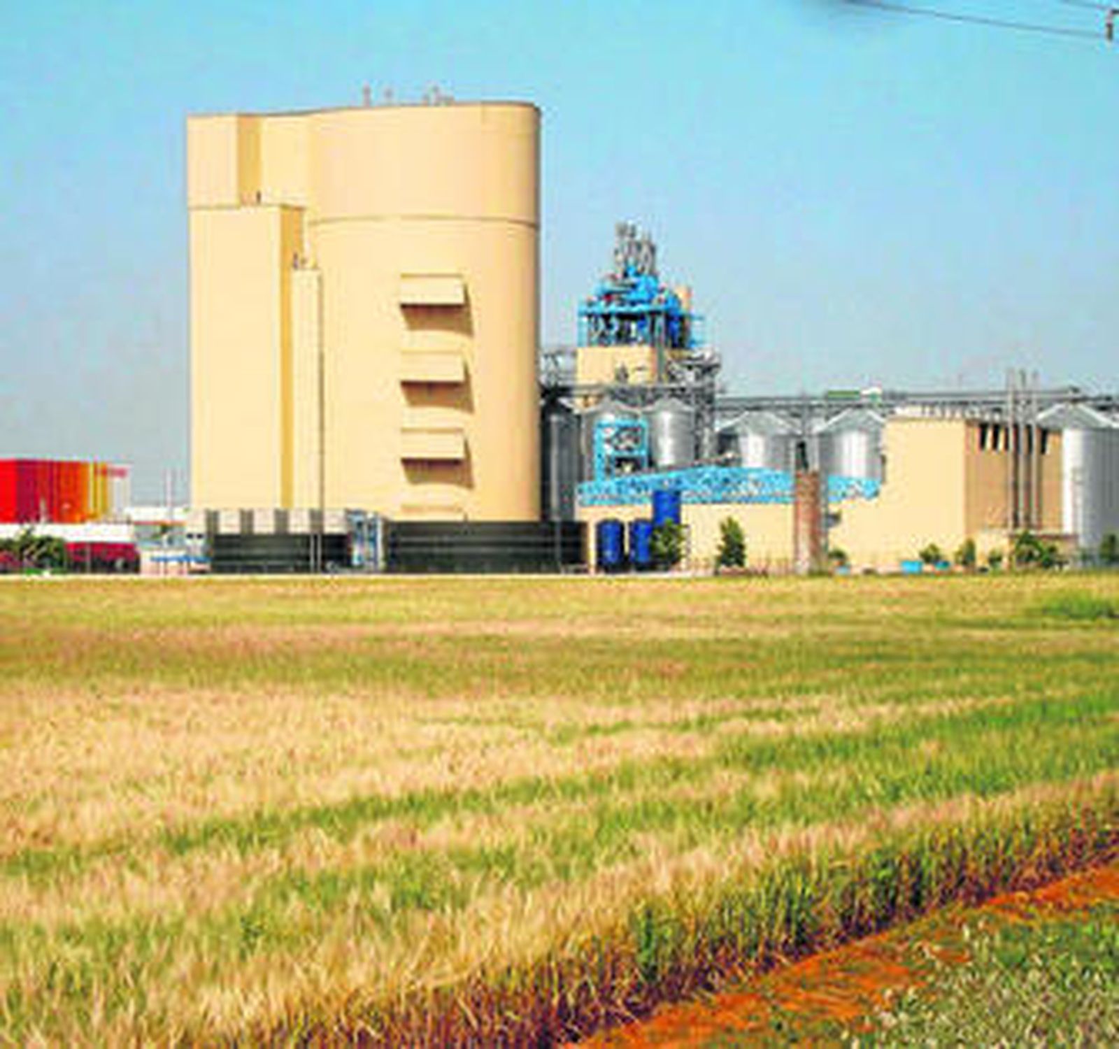 Instalaciones de la Cruzcampo donde integran el cultivo de cebada.