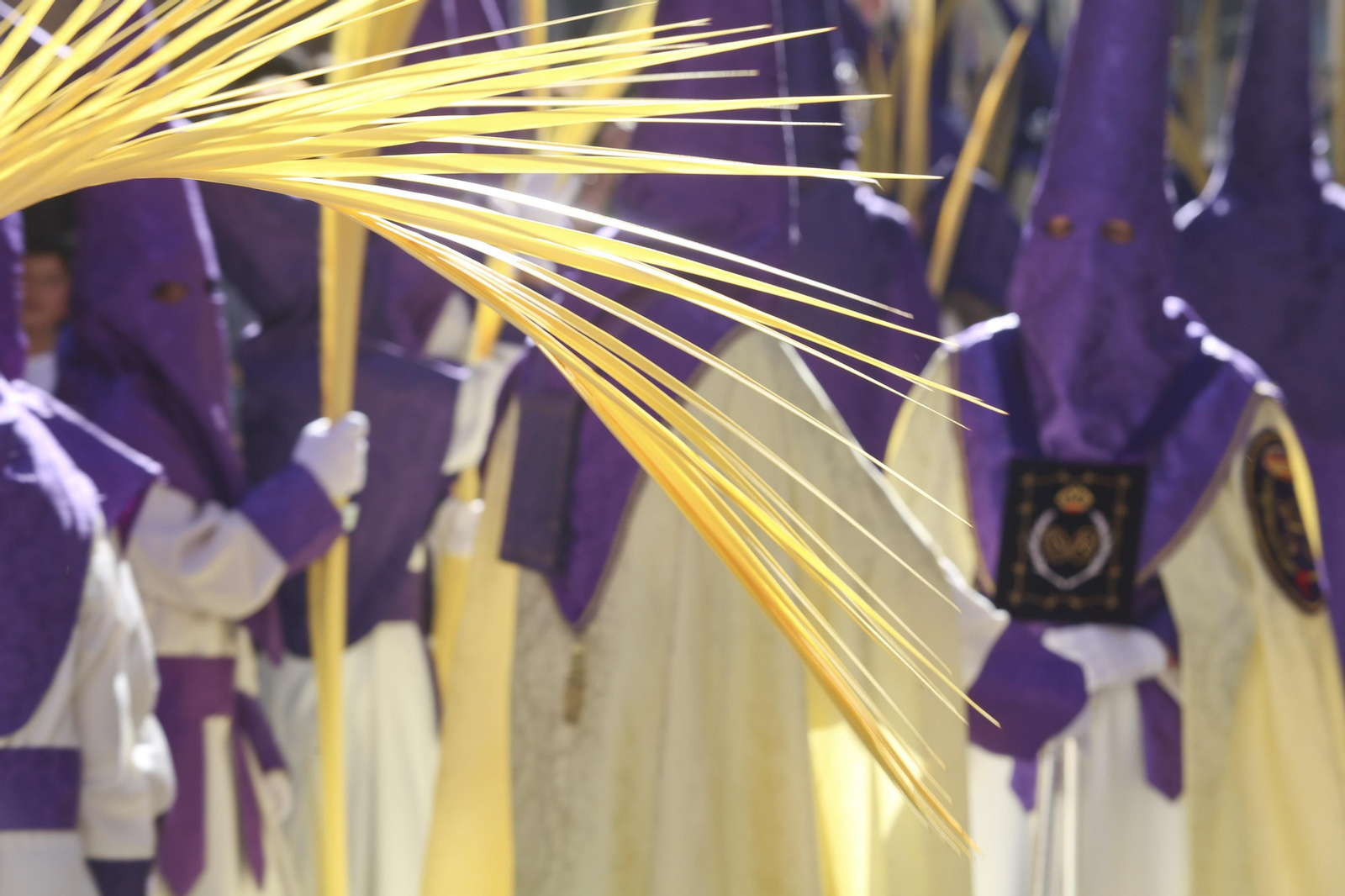 El sol ilumina una de las palmas de La Pollinica el pasado Domingo de Ramos.