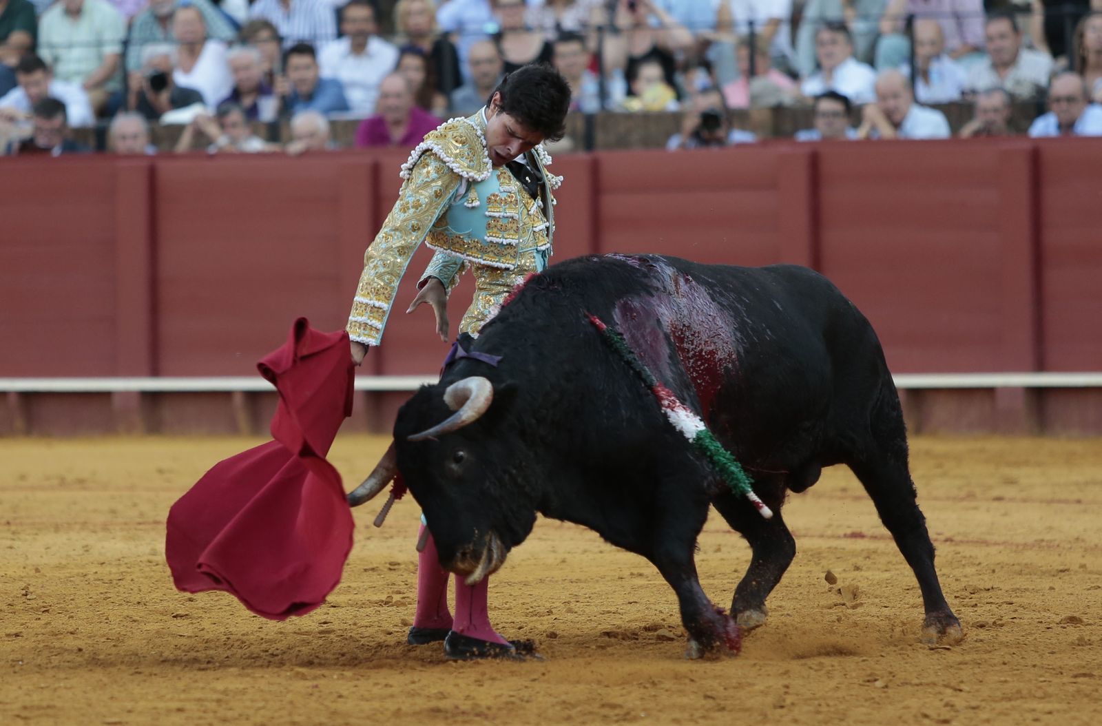 Juanito, en un cambio de mano al quinto novillo, en el que dio la vuelta al ruedo.