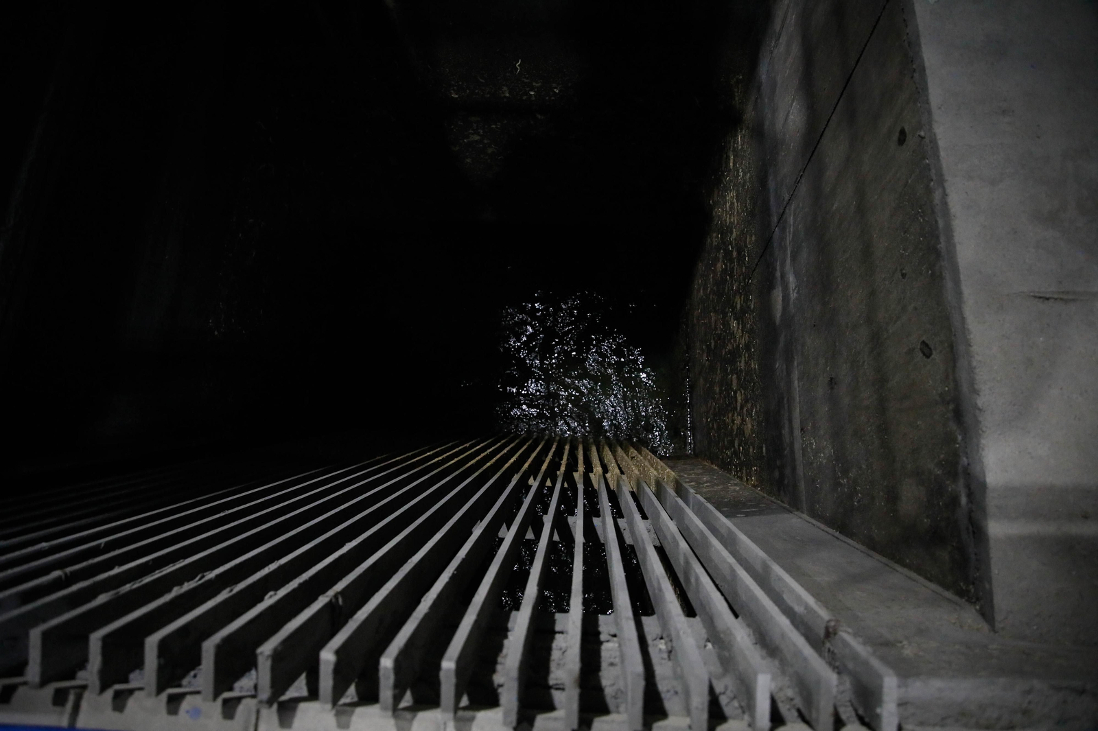 CUCN visita la desaladora de Carboneras y las balsas de Níjar