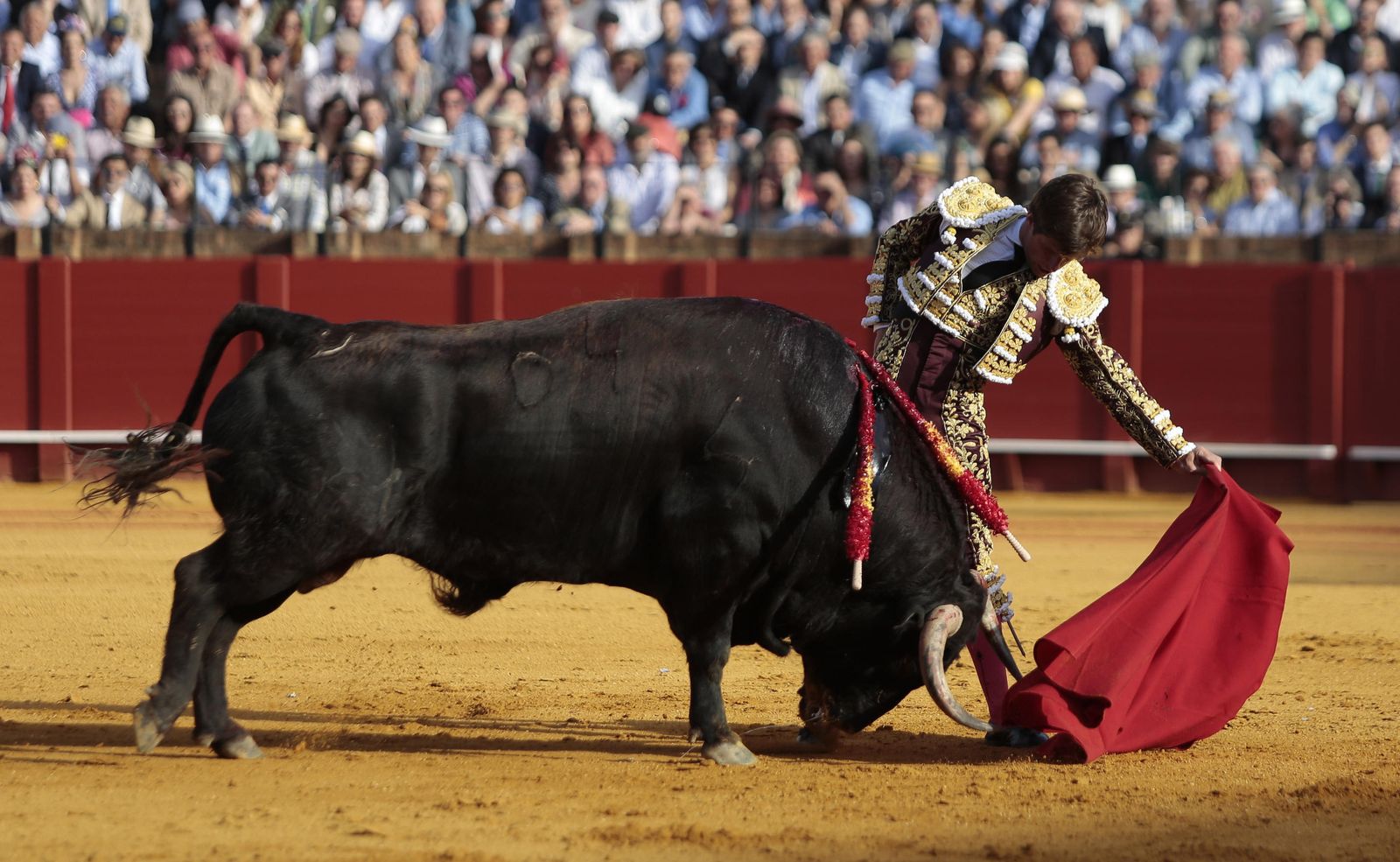 Las imágenes de la undécima de abono de la Maestranza