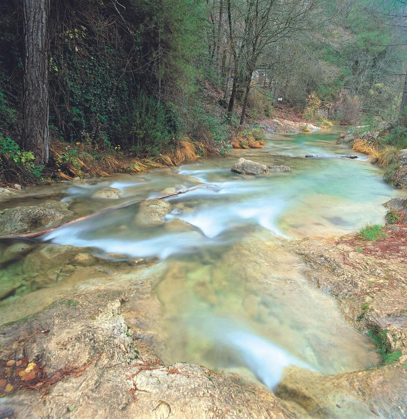 Un refugio para la flora y fauna: descubre los parajes acuáticos de Jaén en el Día Mundial de los Humedales