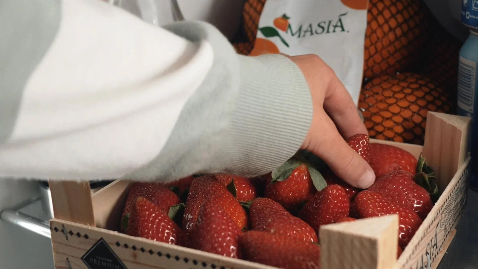 Masiá Ciscar elige a xFarm Iberia para digitalizar su producción de fresas y arándanos