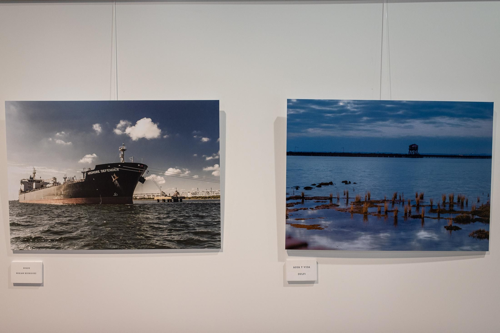 Inauguración de la exposición "El Agua y el Puerto" en imágenes