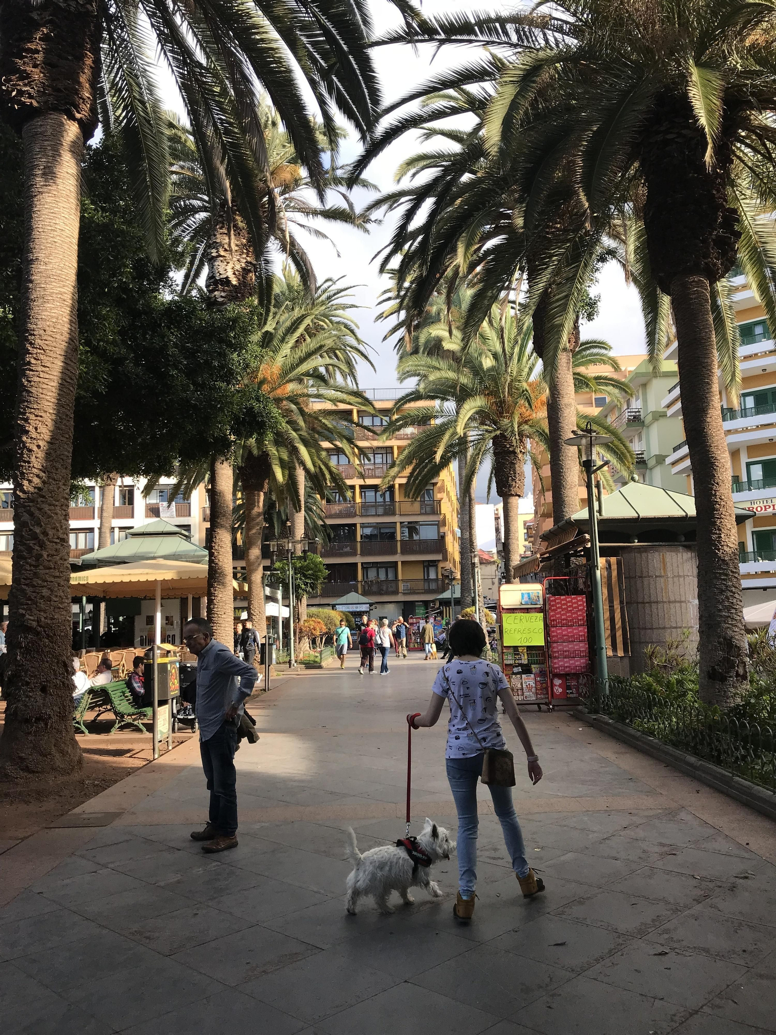 25. En Santa Cruz el ambiente es más local.