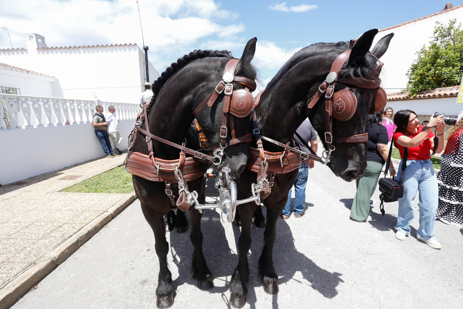 Fotos del domingo de Feria y la romería del Cristo de la Almoraima