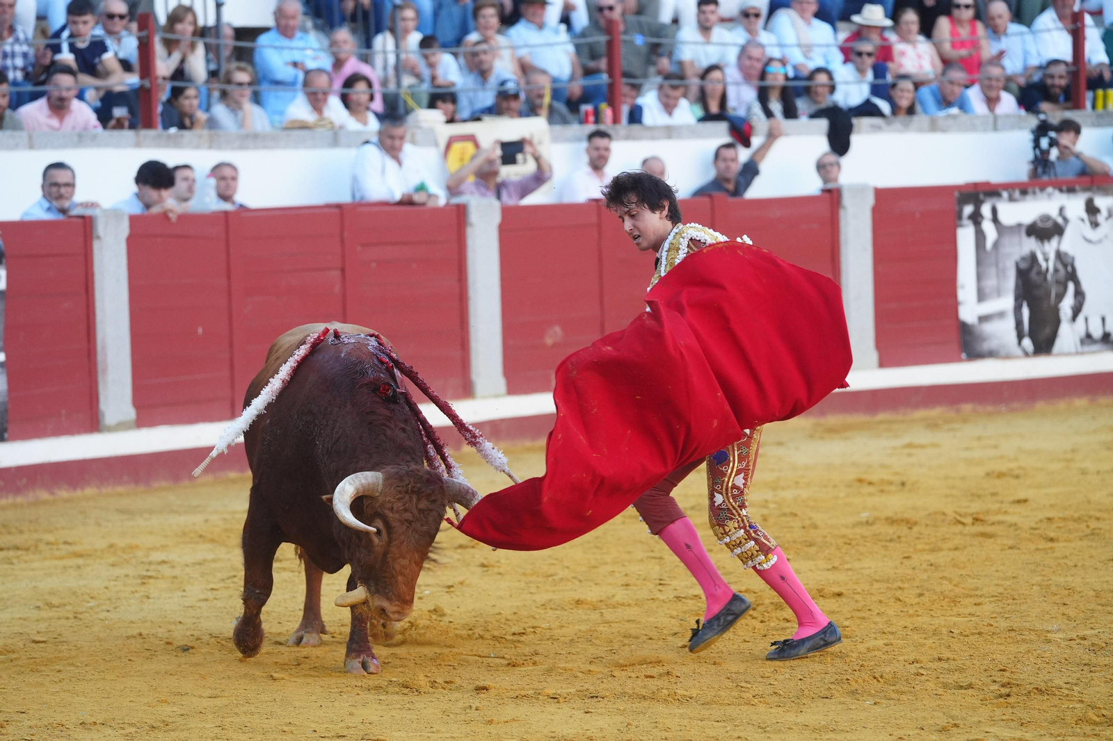El triunfo de Rocío Romero, Manzanares y Roca Rey en la plaza de toros Pozoblanco, en imágenes