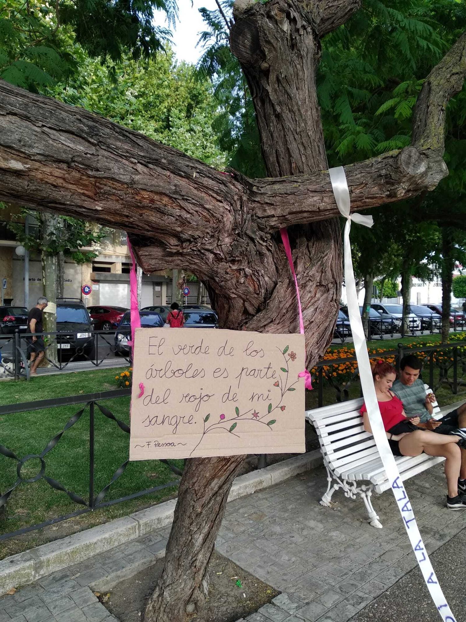 Uno de los carteles colocados en uno de los árboles 'sentenciados' de la Plaza de España.