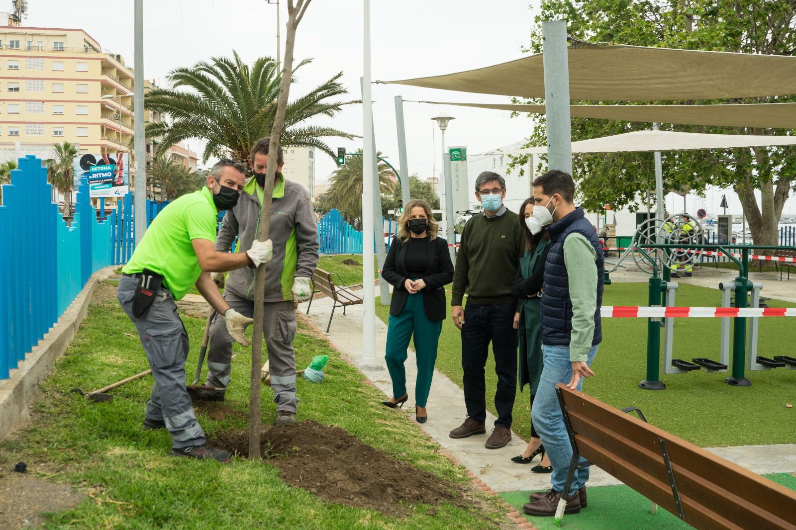 Plantación en Adra de los ejemplares recibidos a través del Plan Savia, otras 1.500 unidades.