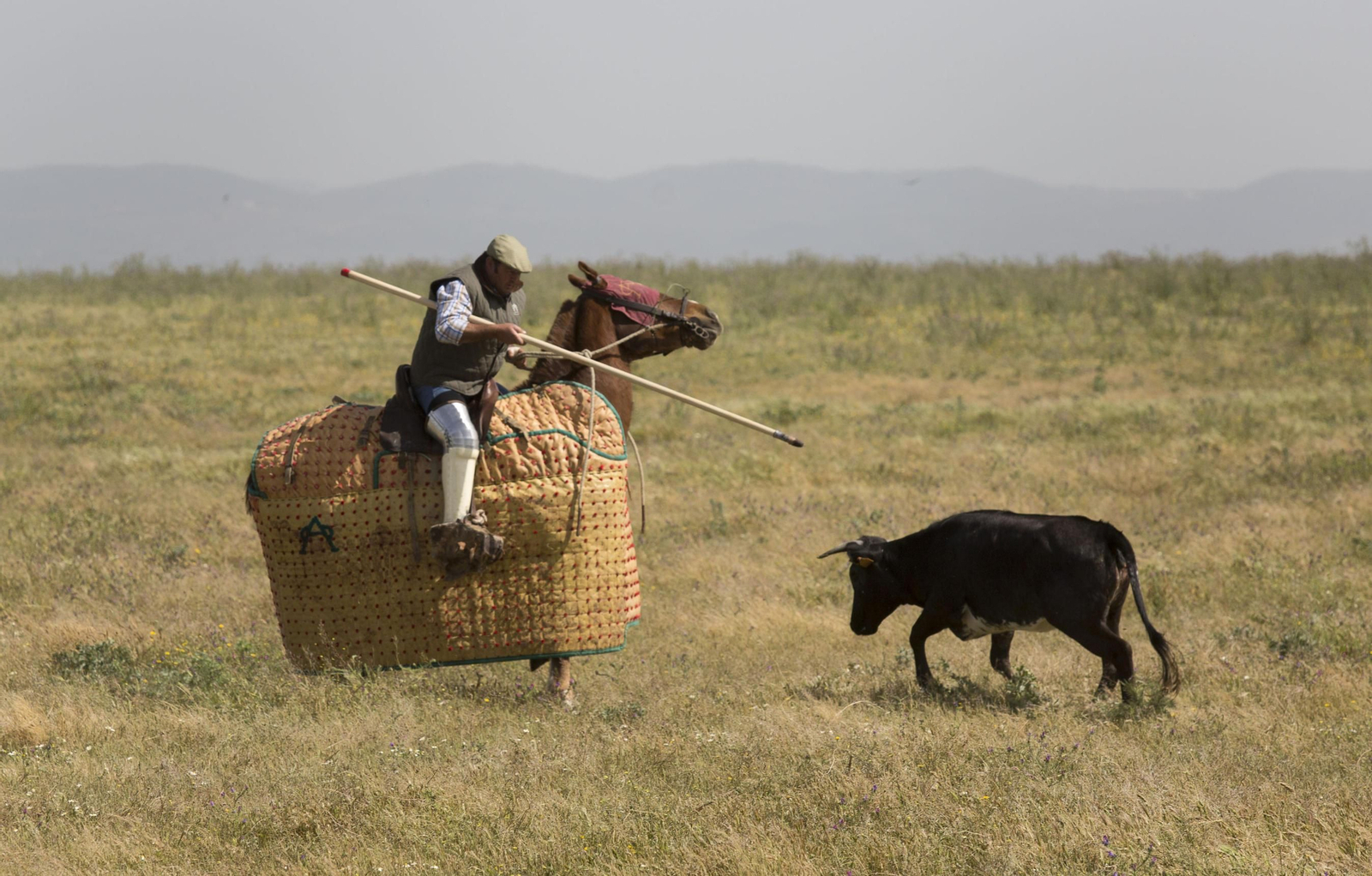La celebración del 175 aniversario de la ganadería Miura, en imágenes