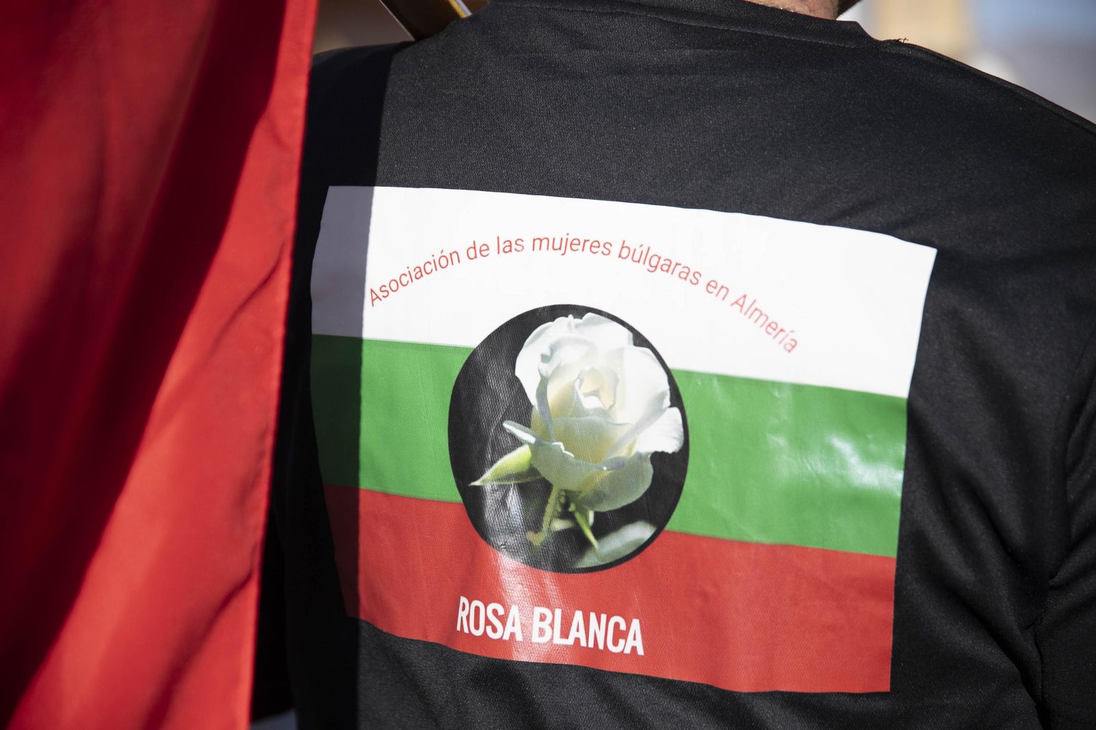 Las mejores imágenes de las Carrozas en Benahadux