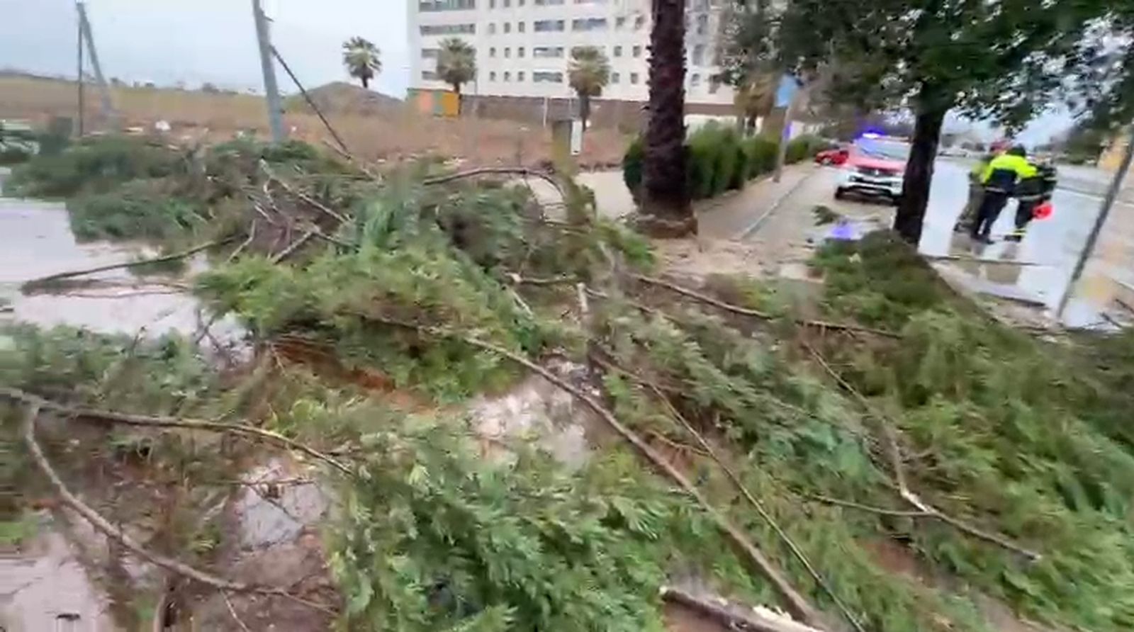 Daños de la borrasca Kristin este miércoles en Huelva capital.