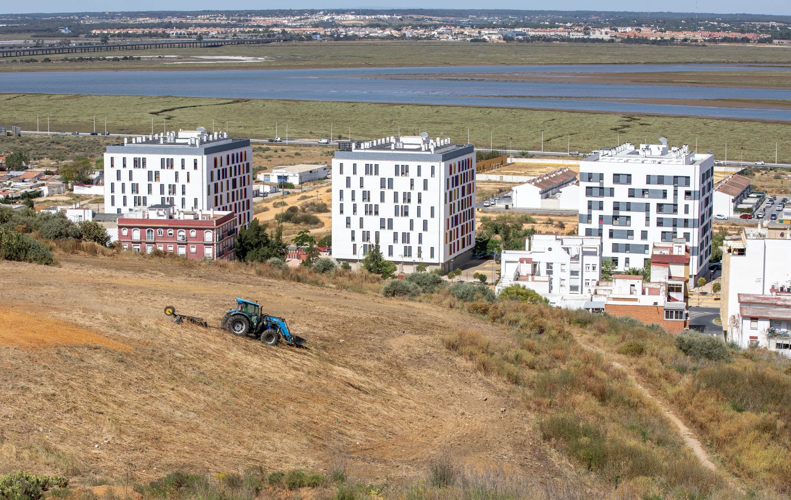 Limpieza de solares en las laderas