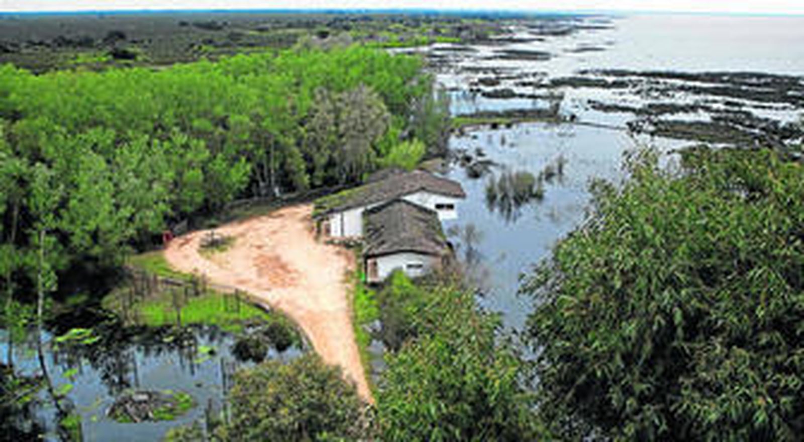 Zona inundada por abundantes precipitaciones en las  marismas de Doñana.