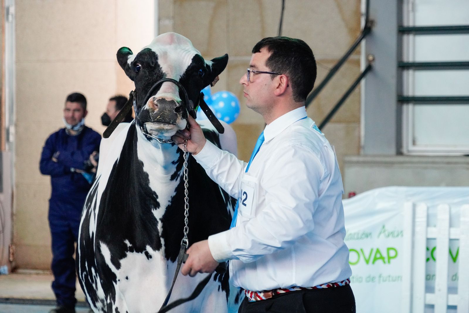 La Feria de Ganado Frisón Usías Holsteins de Dos Torres, en fotografías