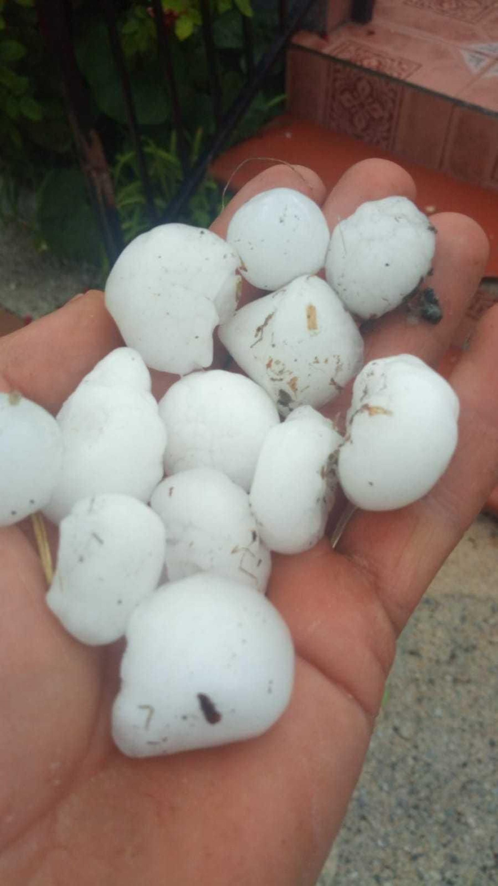 Algunos de los granizos que cayeron la tarde de ayer.