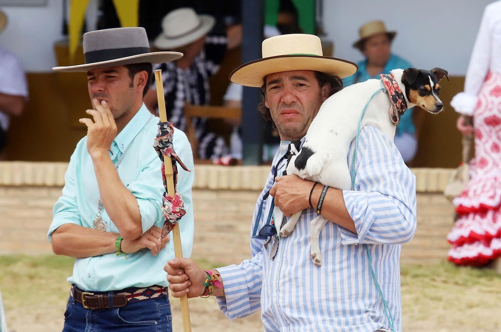 Imágenes del ambiente El Rocío y en Casas de Hermandades