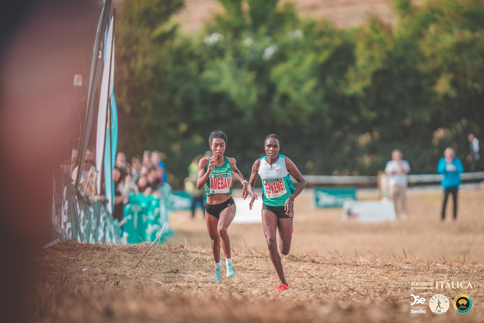 Búscate en las fotos del Cross de Itálica 2025 | 11