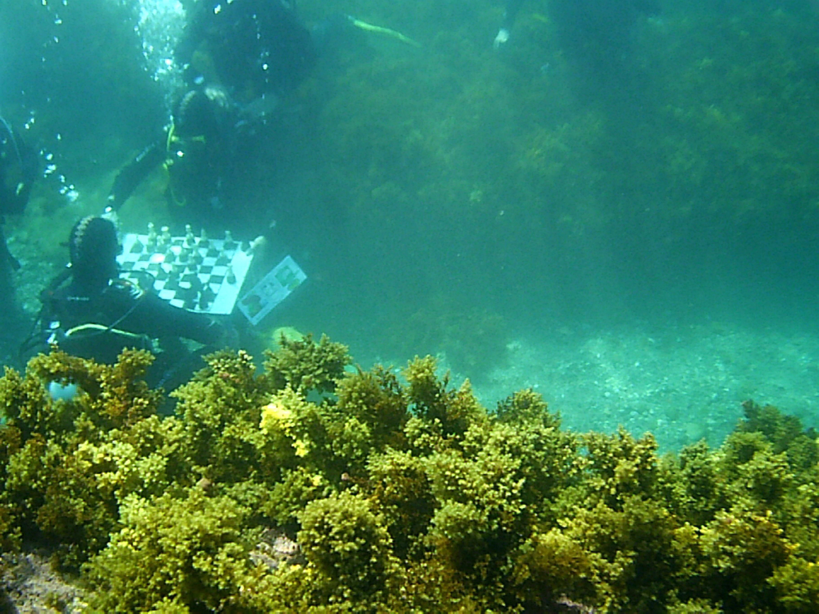 Las imágenes de la partida submarina de ajedrez en Carchuna