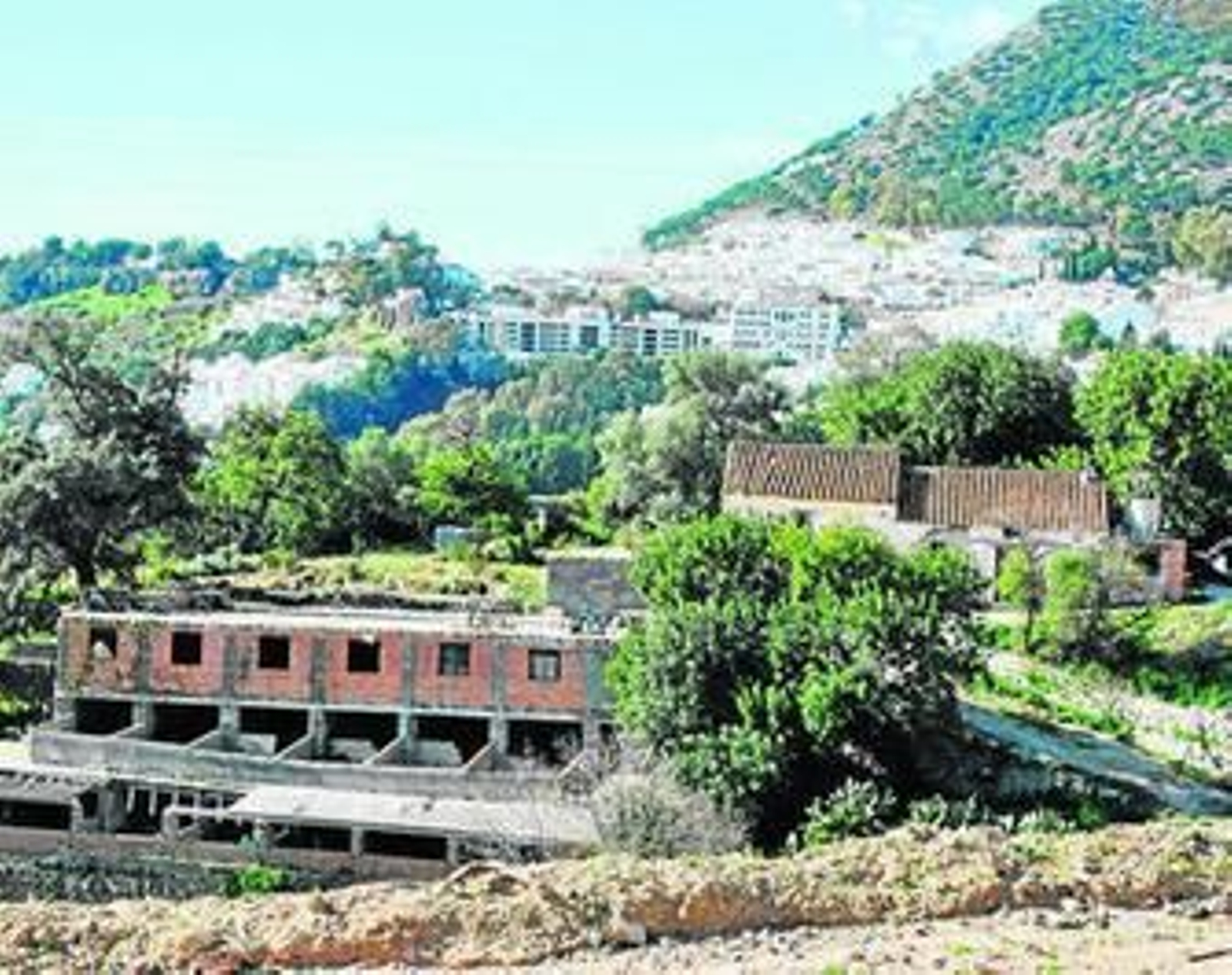 Viviendas del municipio en situación irregular.