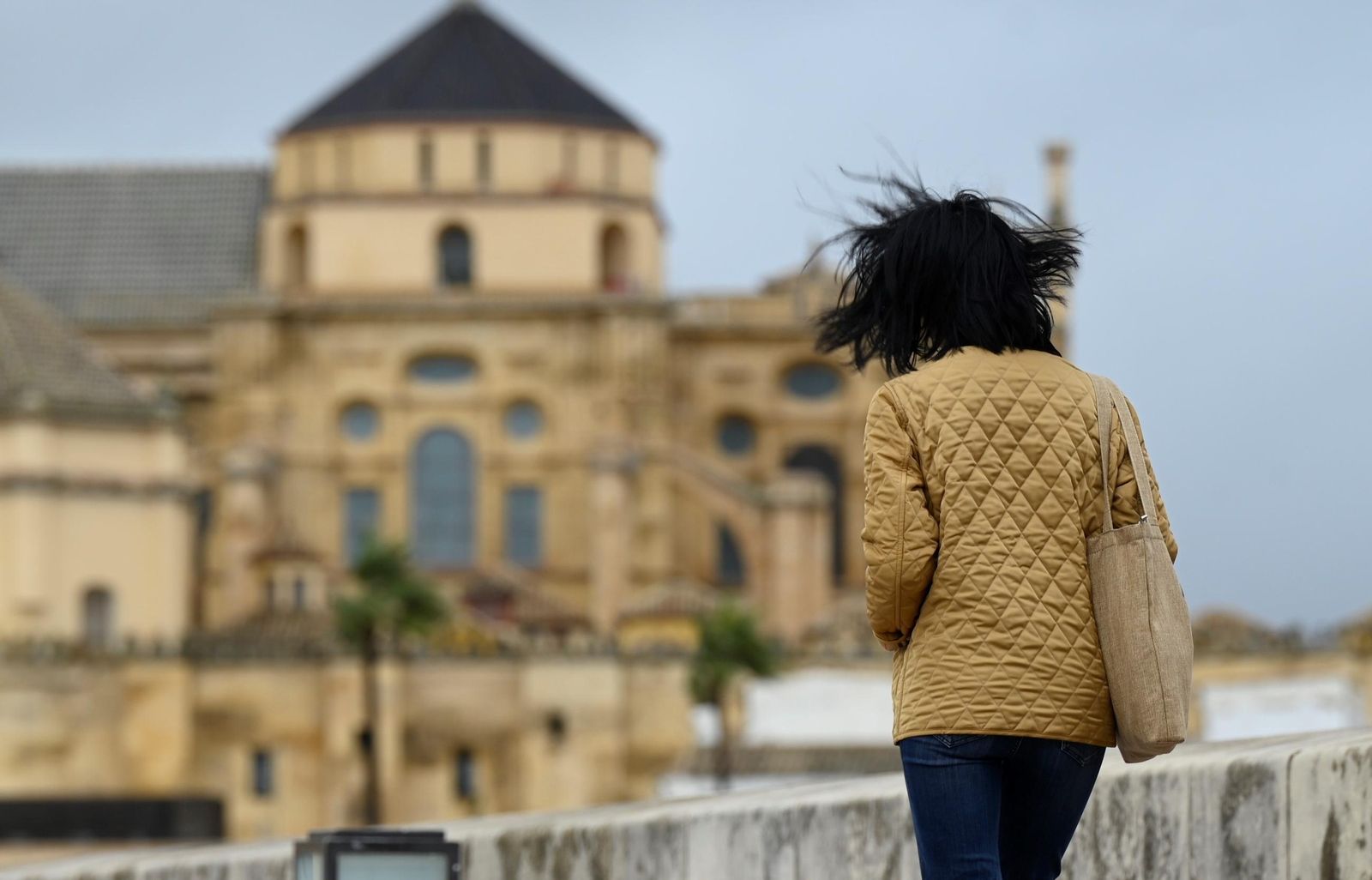 El paso de la borrasca 'Herminia' por Córdoba, en imágenes