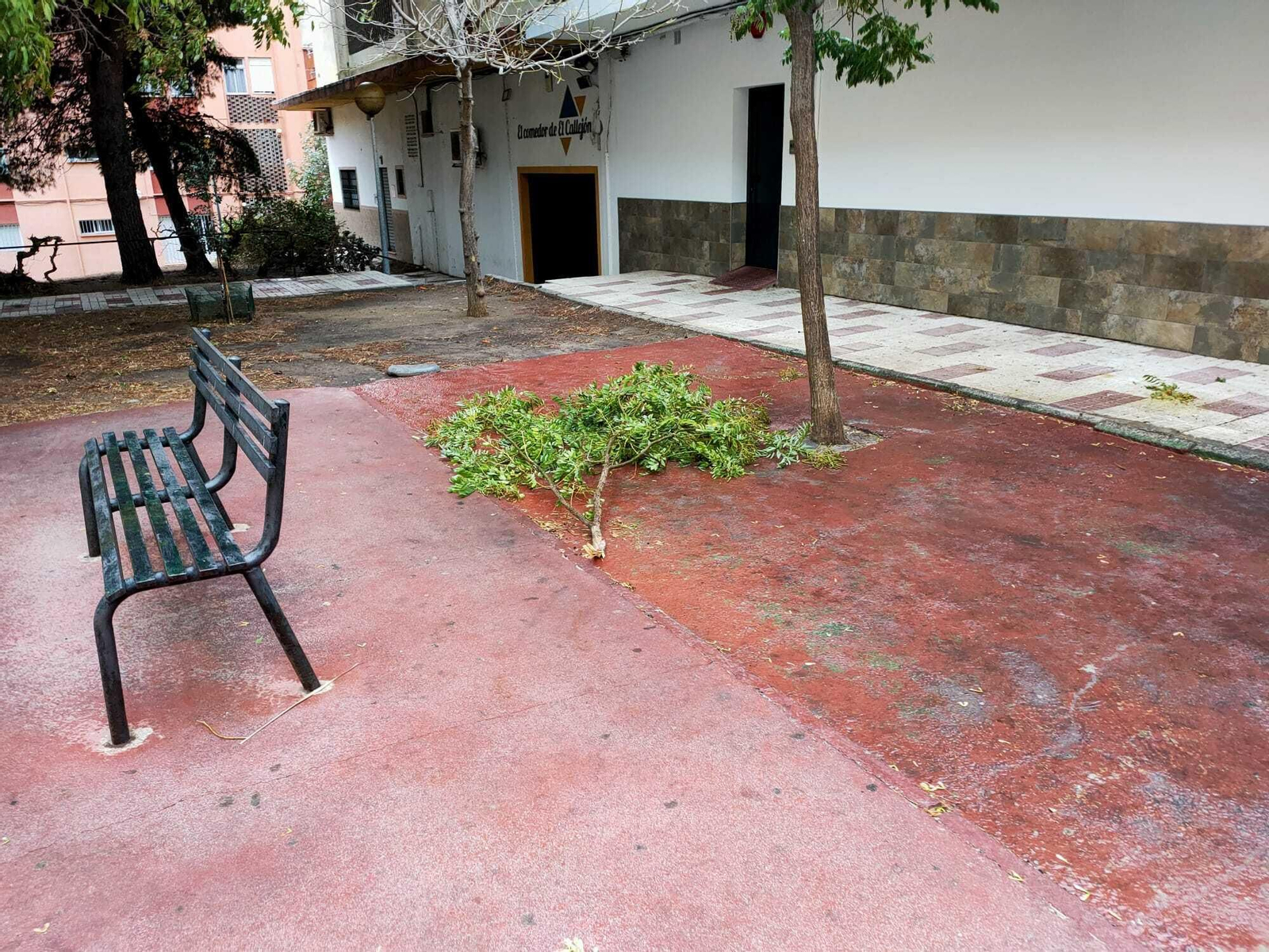 El paso de la borrasca Aline por Algeciras, en imágenes