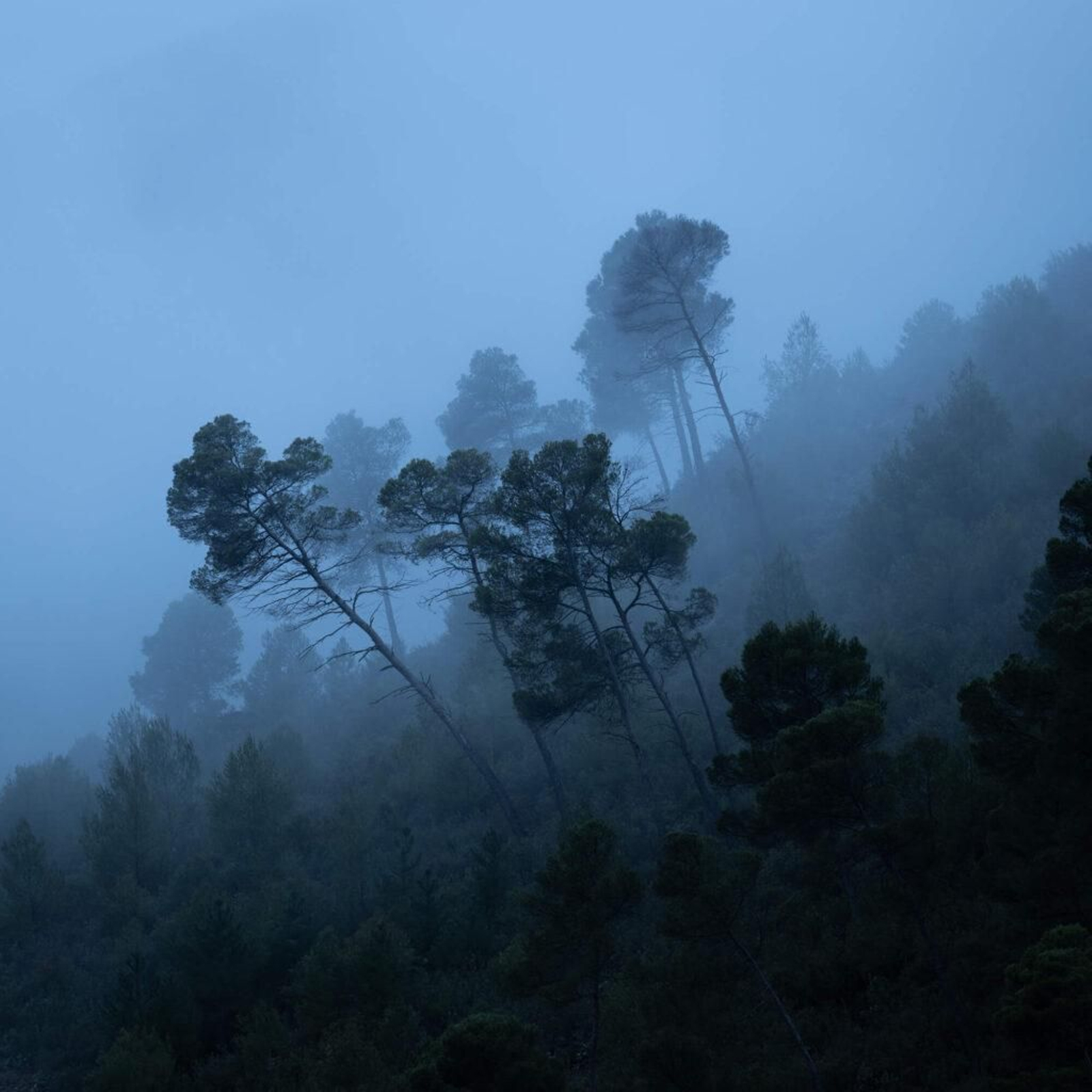 Parque Natural de la Sierra de Cazorla, Segura y Las Villas