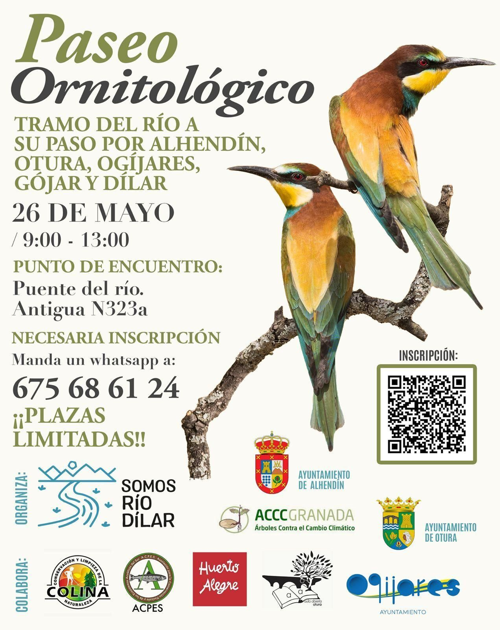 Cartel del 'Paseo Ornitológico' Cartel del 'Paseo Ornitológico'