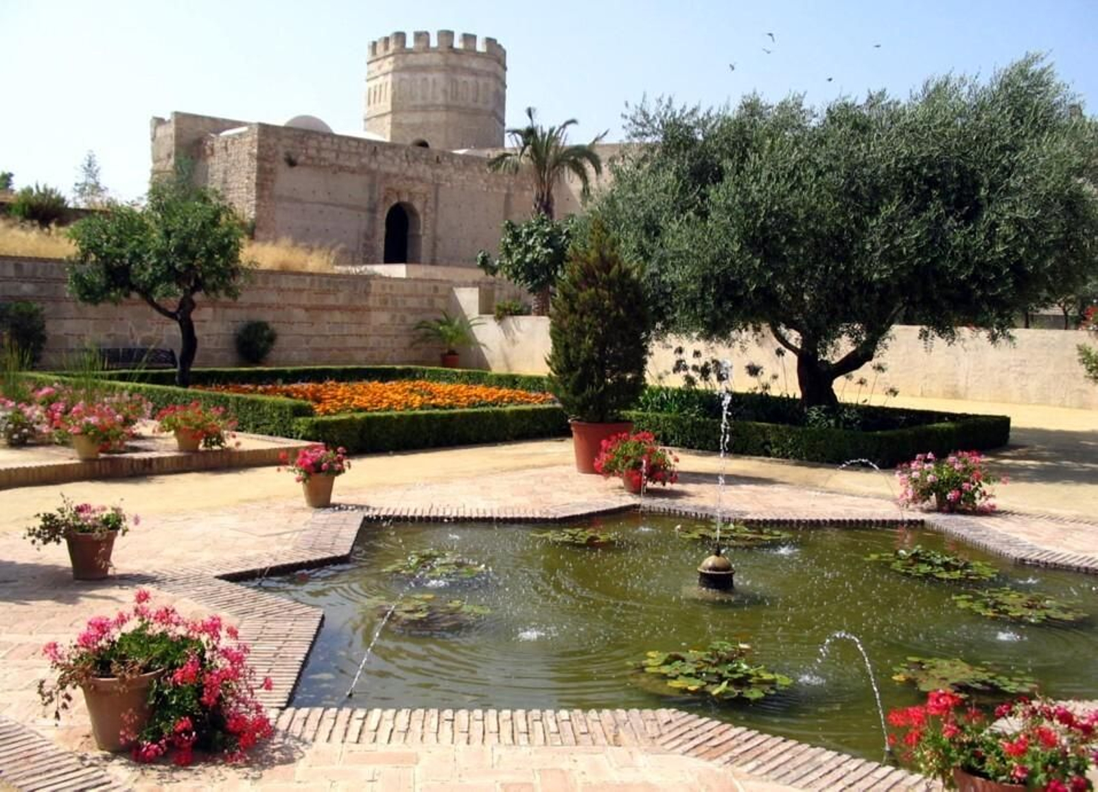 Alcazar de Jerez. Alcazar de Jerez.