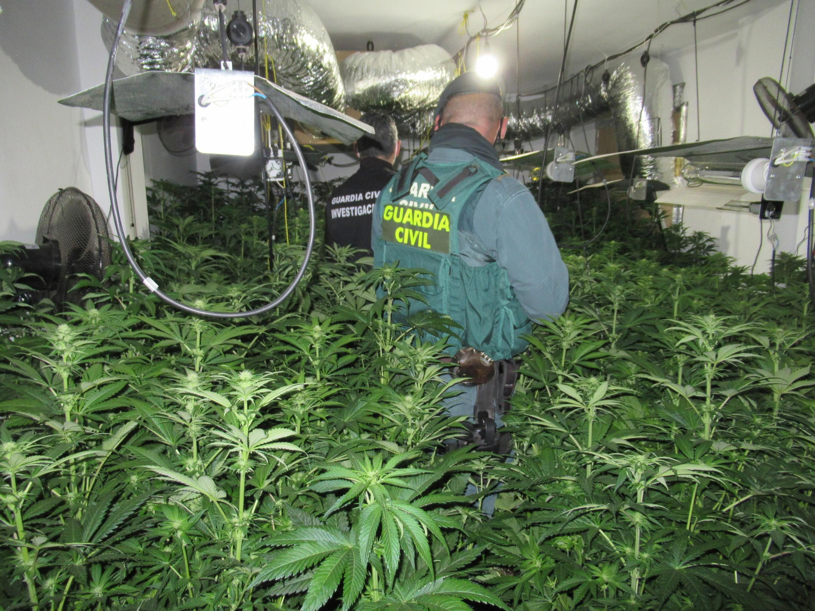 Operación de alto impacto: desarticulados 22 centros de producción de marihuana en Santa Fe y Atarfe