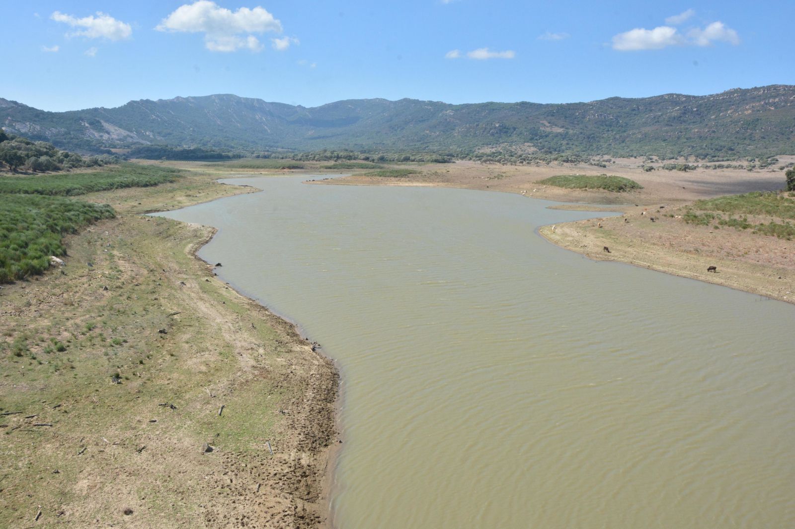 El pantano de Charco Redondo, en Los Barrios, que acumula 33 hectómetros cúbicos de agua, algo más del 40% de su capacidad.