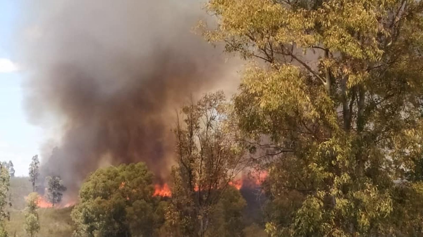 Imagen del incendio difundidas por el Ayuntamiento de Beas.