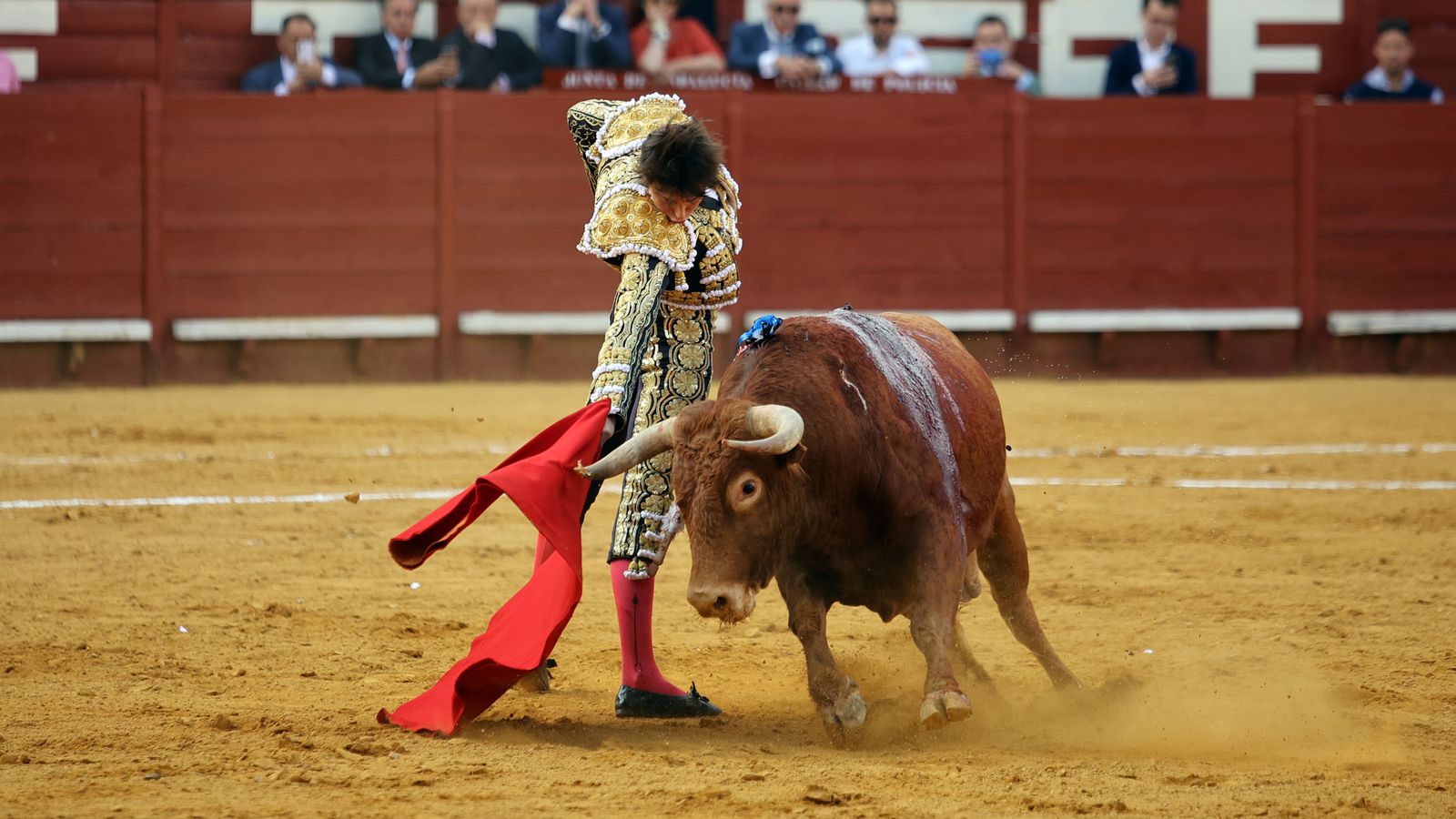 Tarde de toros con Roca Rey, Talavante y Aguado en la Feria de Jerez