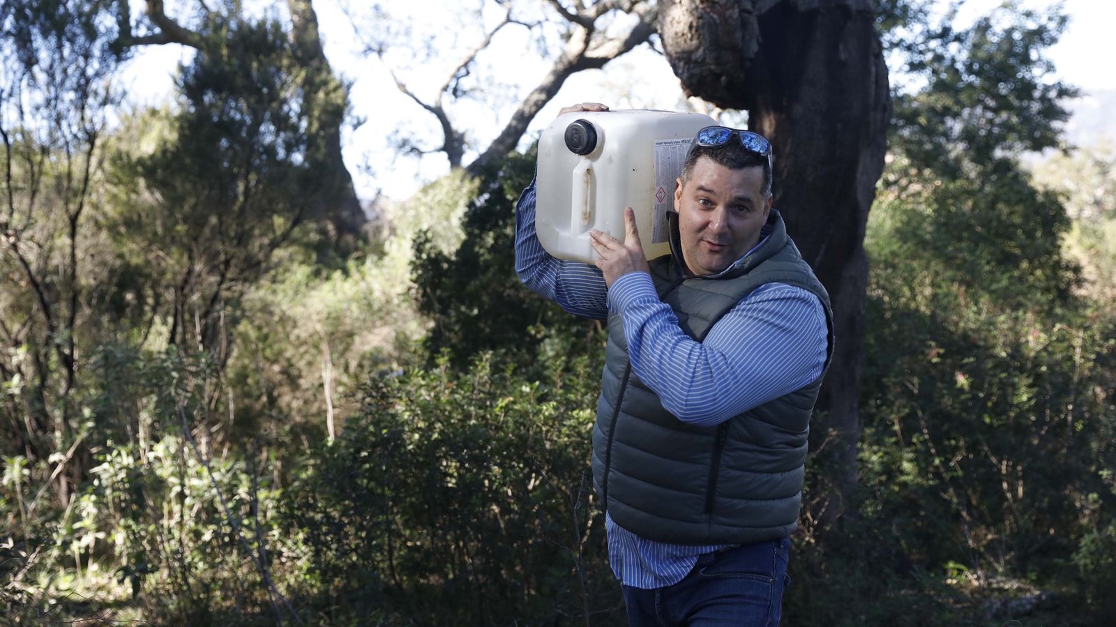 Jornada de reforestación en El Palancar por trabajadores de Acerinox, en imágenes