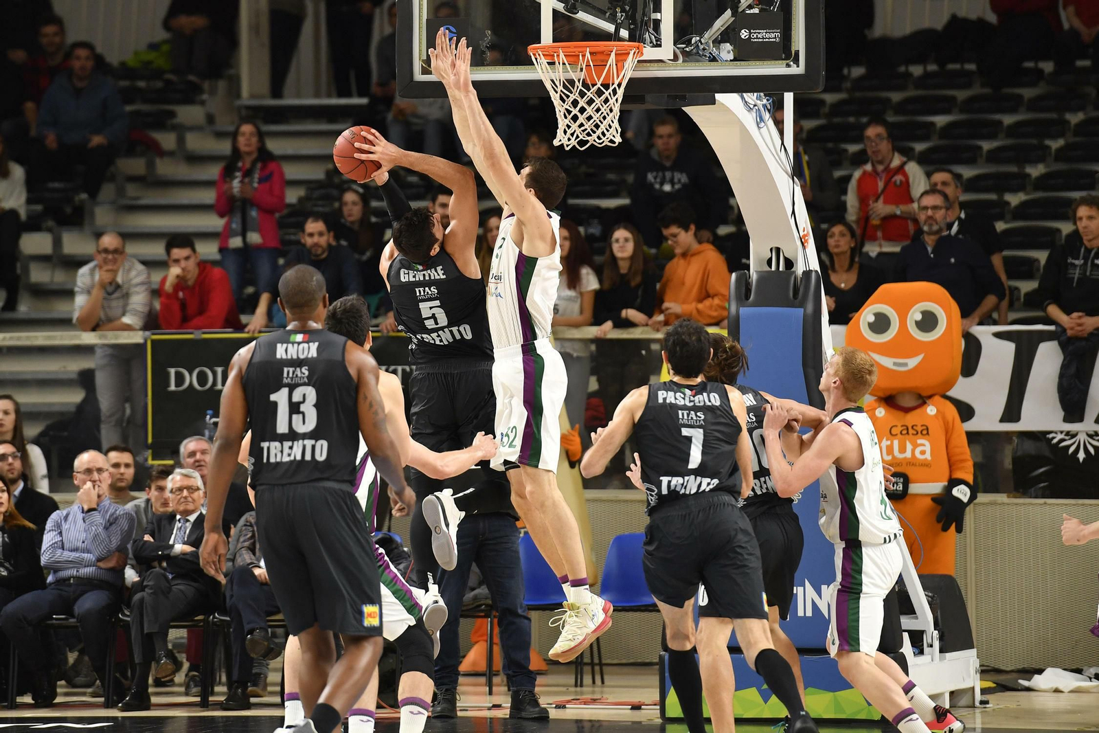 Las fotos del Trento - Unicaja