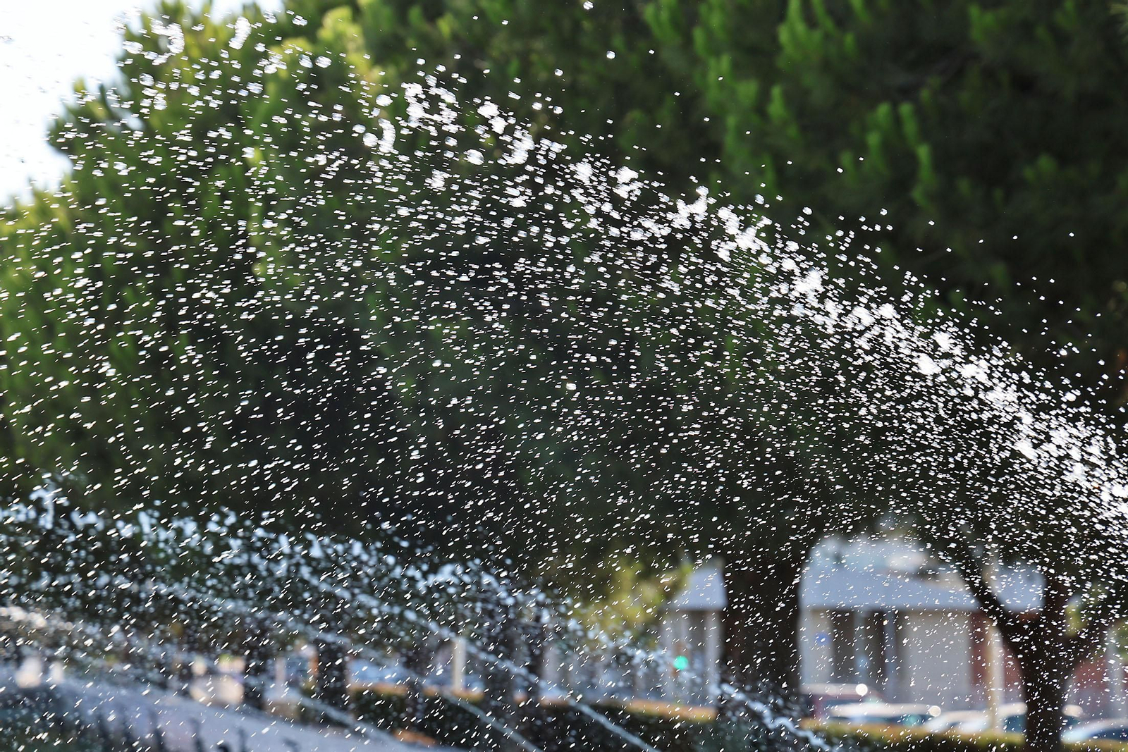 Imágenes de la Avenida de Andalucía en las mañanas de verano