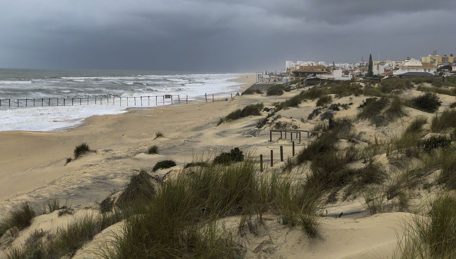 El resurgir de Doñana: tres años después del incendio