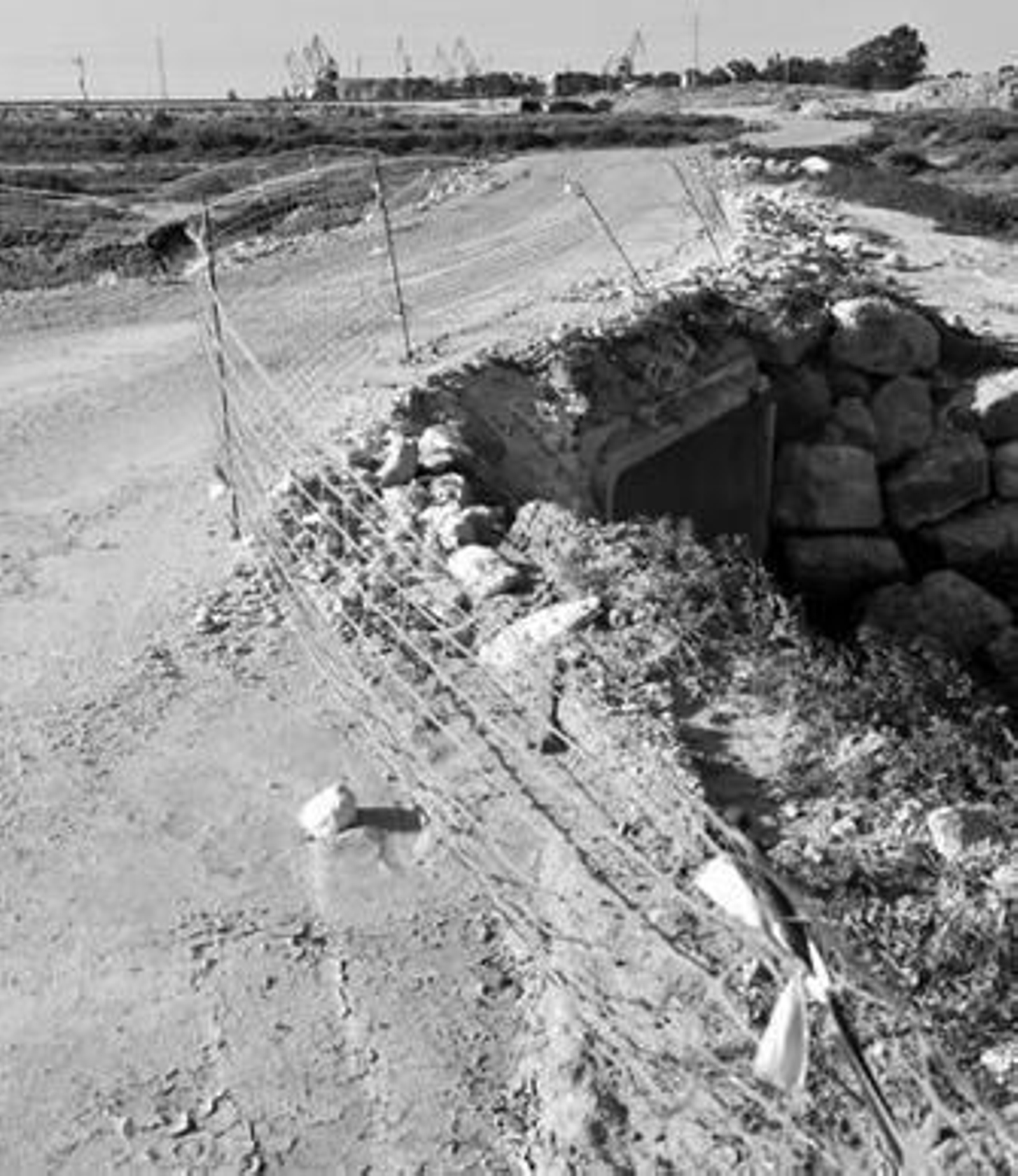 Un grupo de jóvenes celebra una 'botellona' en la fiesta de la Primavera.