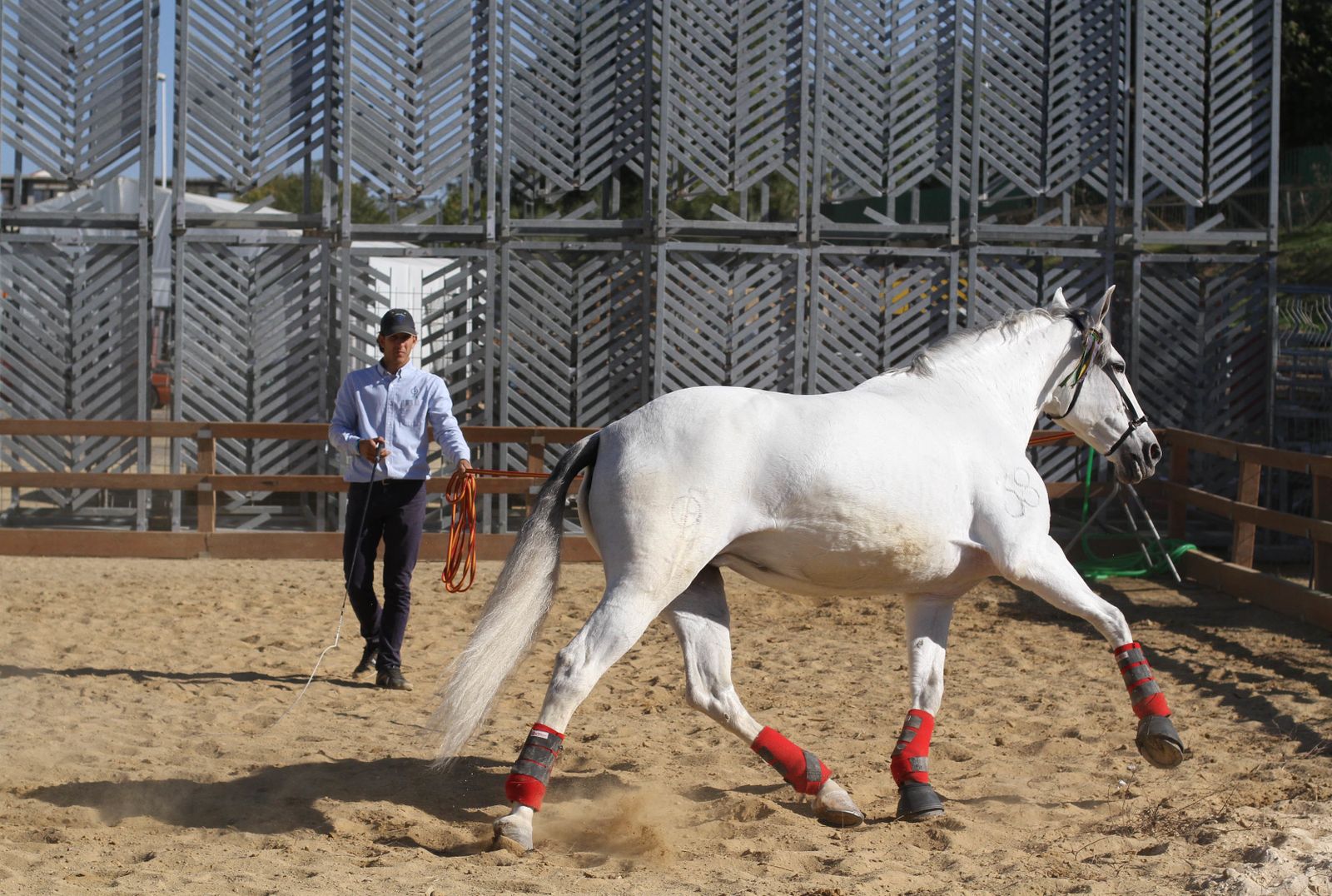 Sicab calienta motores.