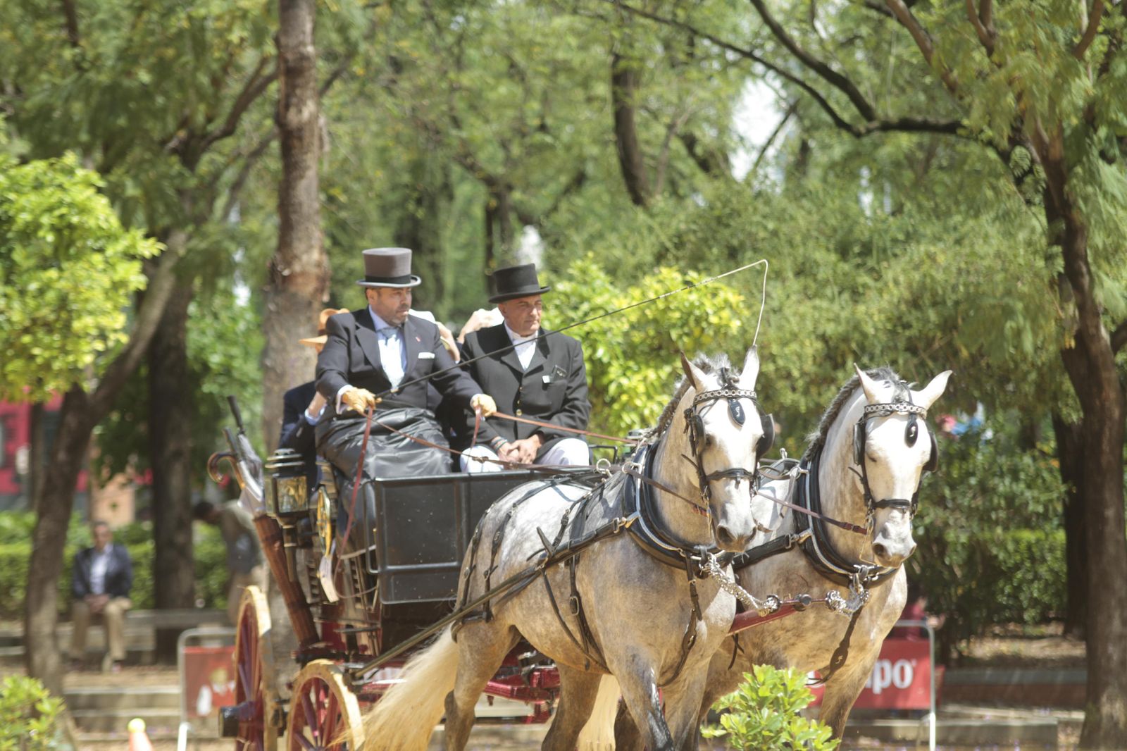 Los mejor del Concurso Internacional de enganches de Sevilla