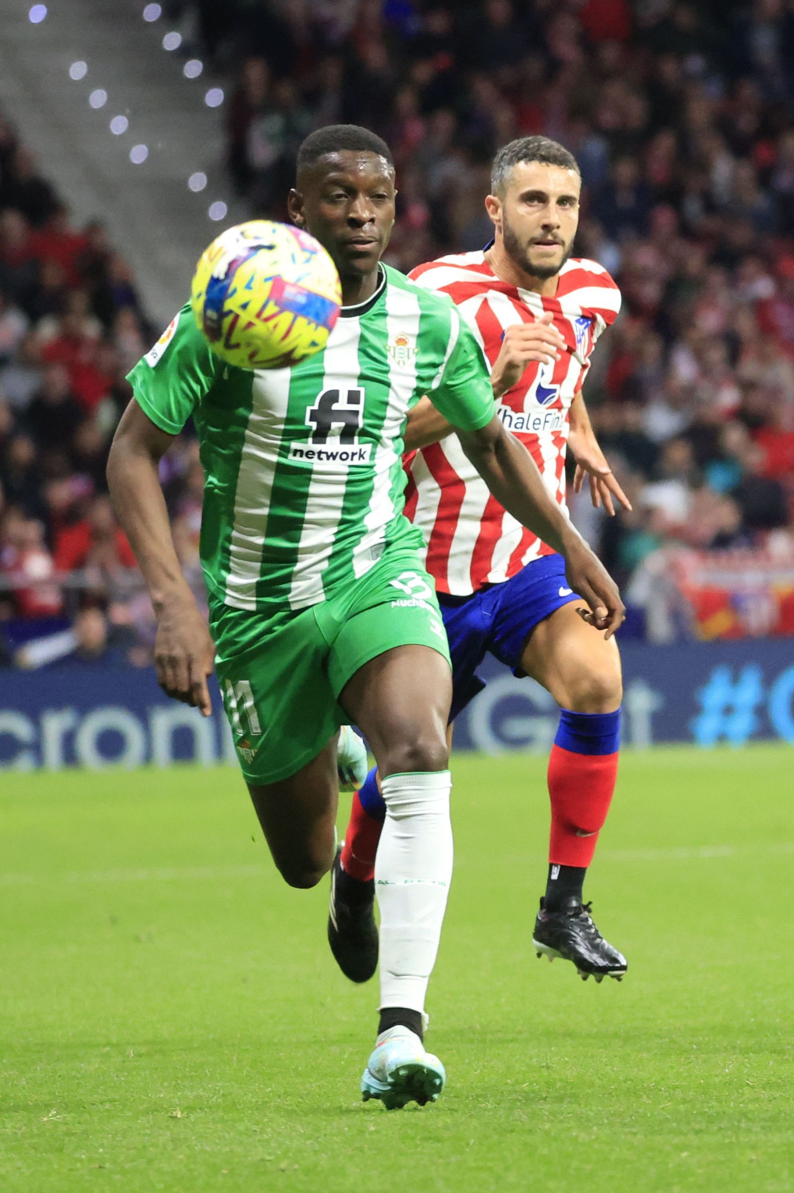 Las fotos del Atlético Madrid - Betis