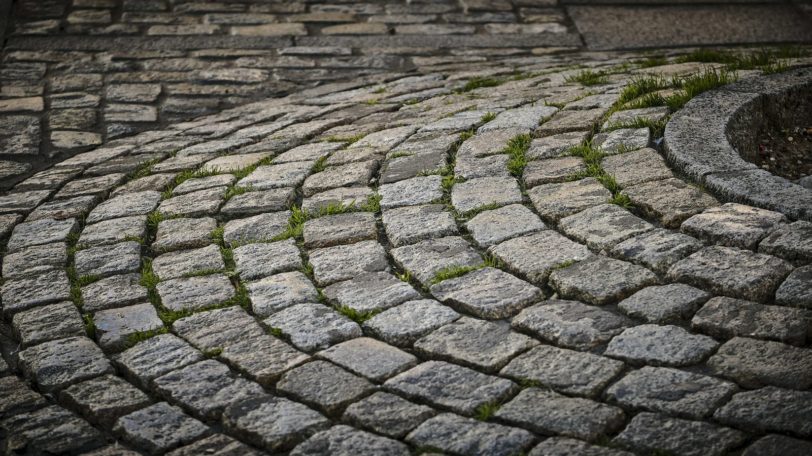 Estado del pavimento en plaza de la Catedral