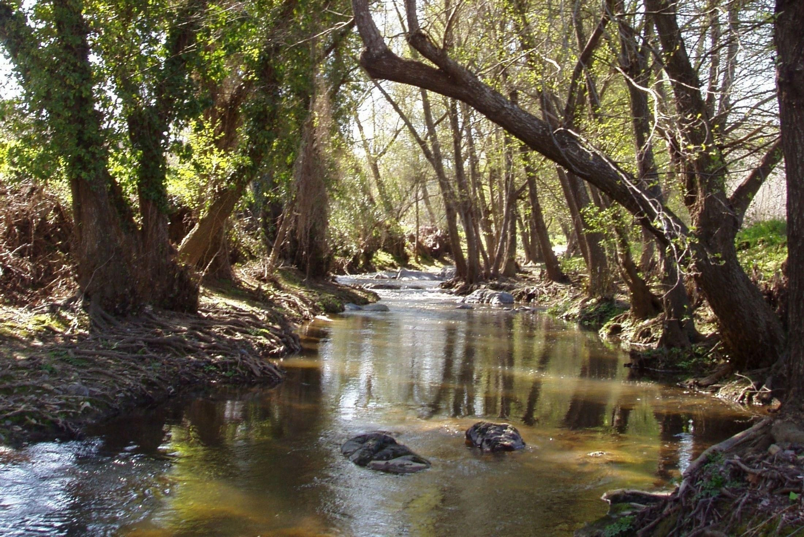 El río Múrtiga, identidad viva de La Nava