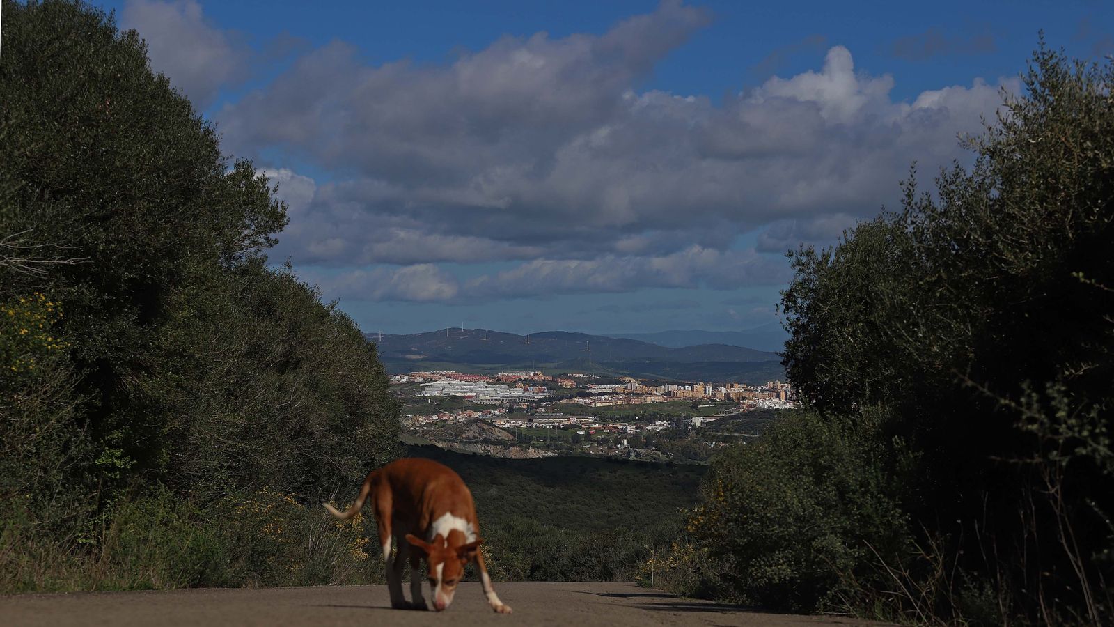 Carretera de Las Pantallas en Algeciras