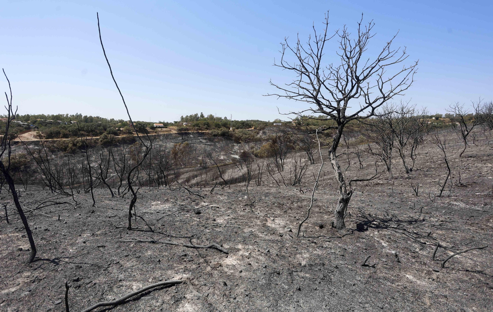 Los efectos del incendio en el Ronquillo en imágenes