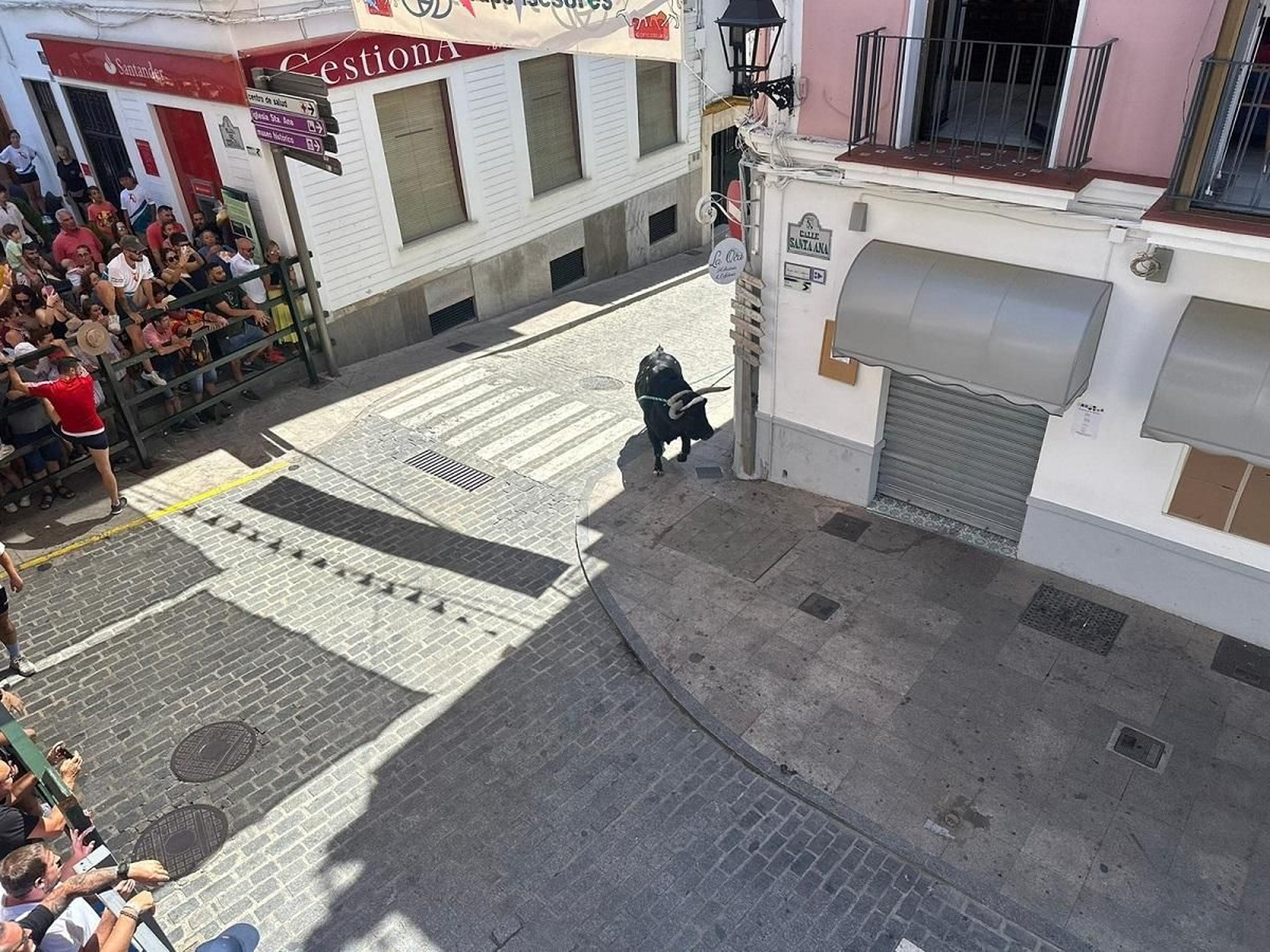 Las imágenes del toro de cuerda de Carcabuey