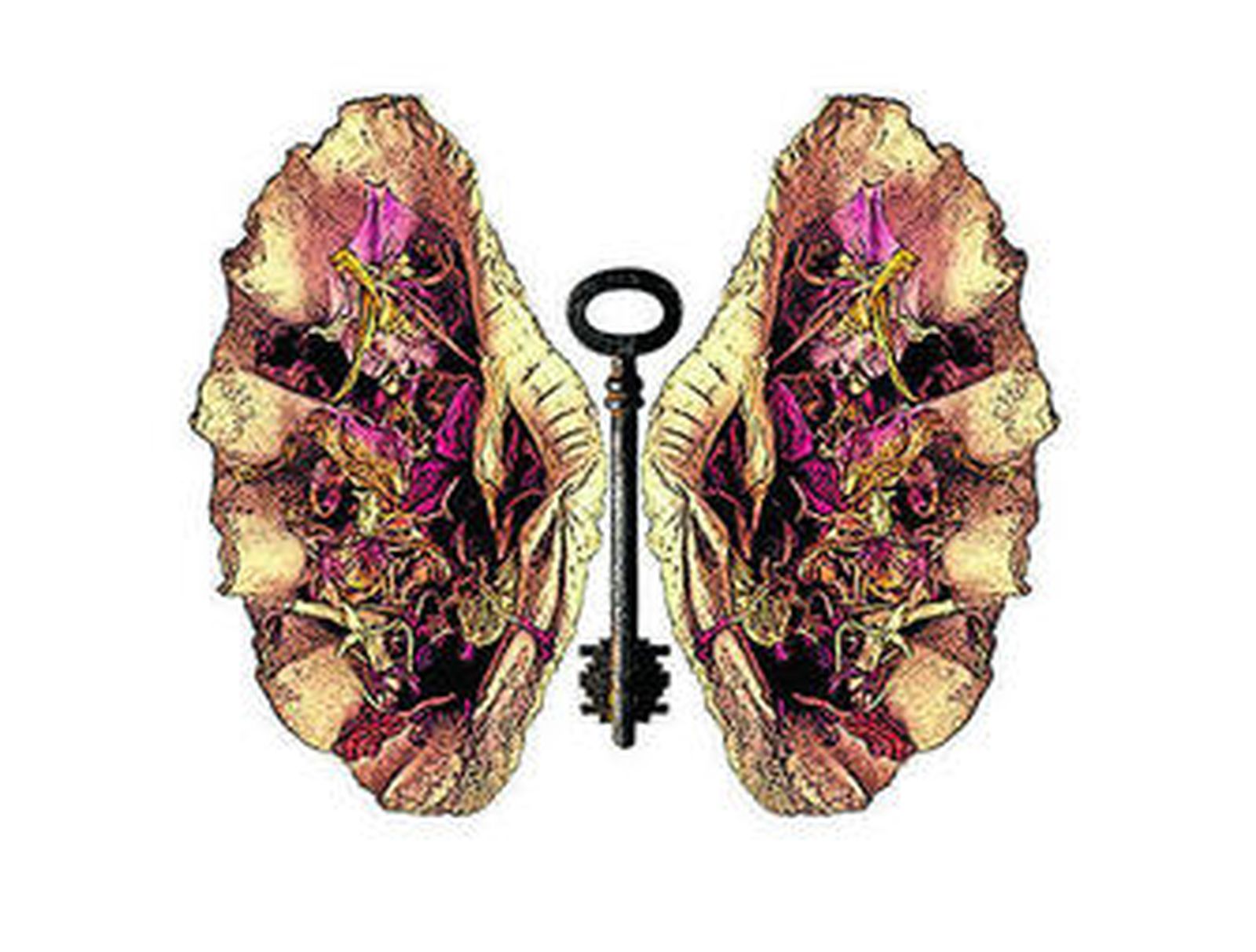 Habitáculos, Manuela Malía en el campus